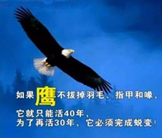 640 (6).jpg 640 (6).jpg